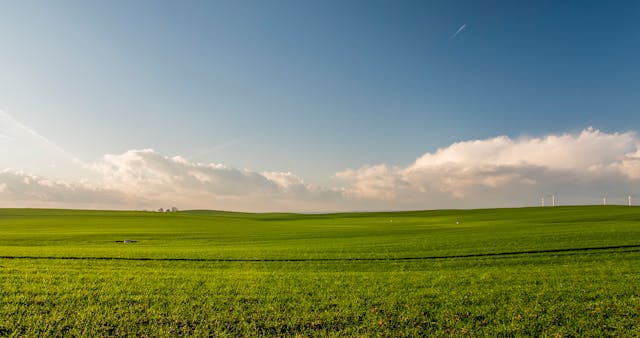 Shape the future of clean energy