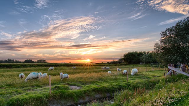 Drive sustainable practices
